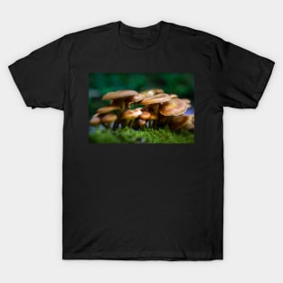 Honey mushrooms cluster T-Shirt